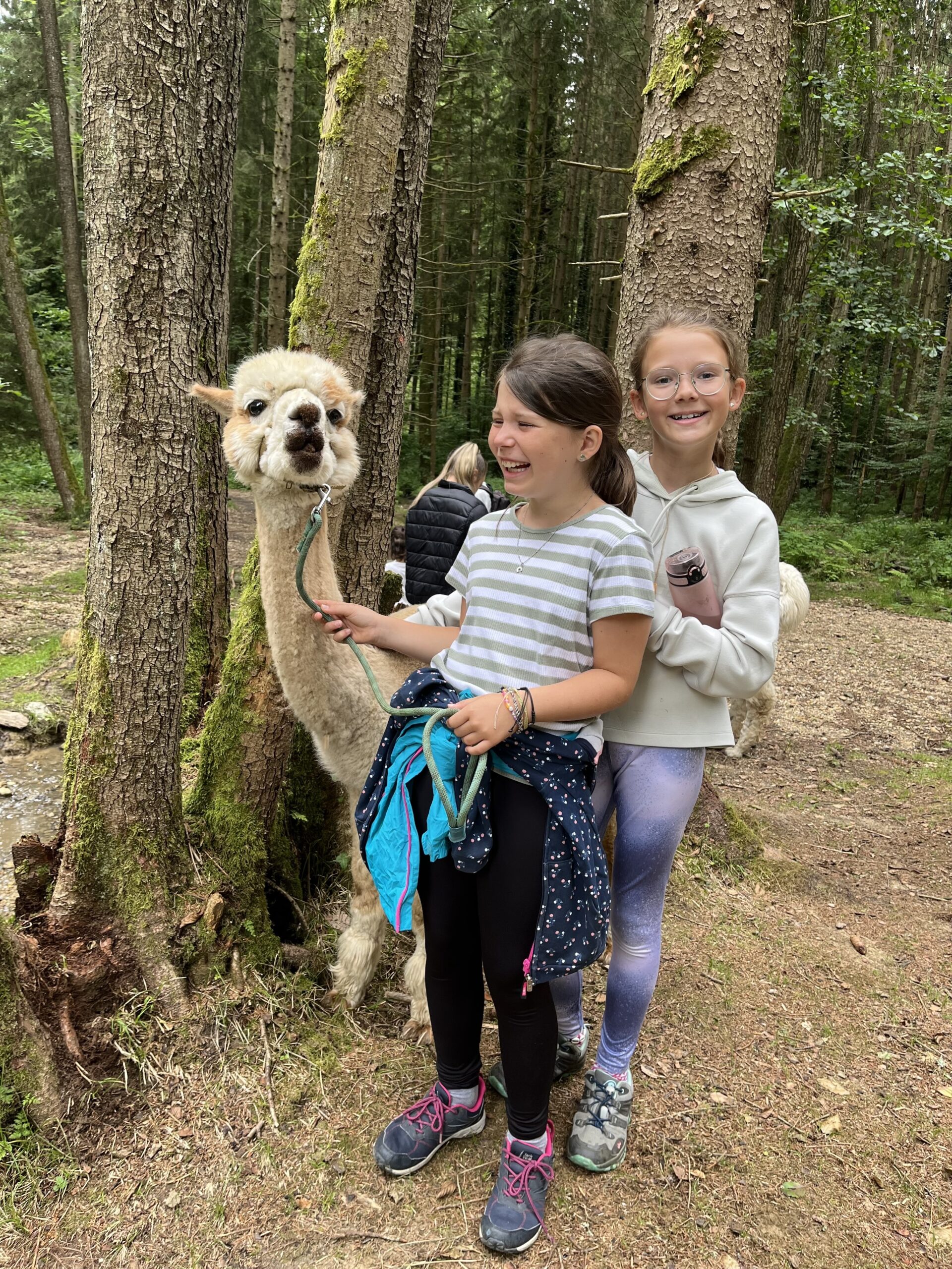 worldies tiere (w4 2026)