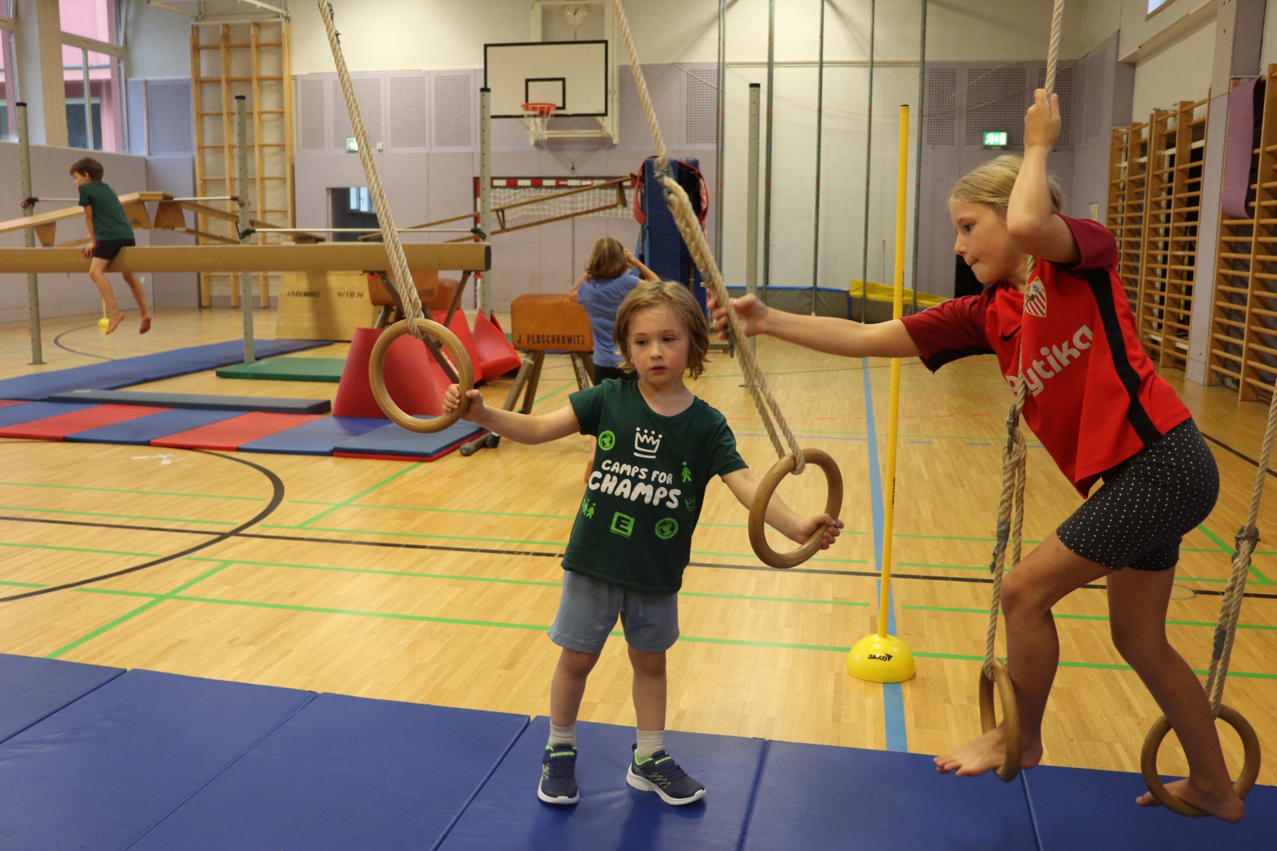 sporties ninja warrior (w5 2026)